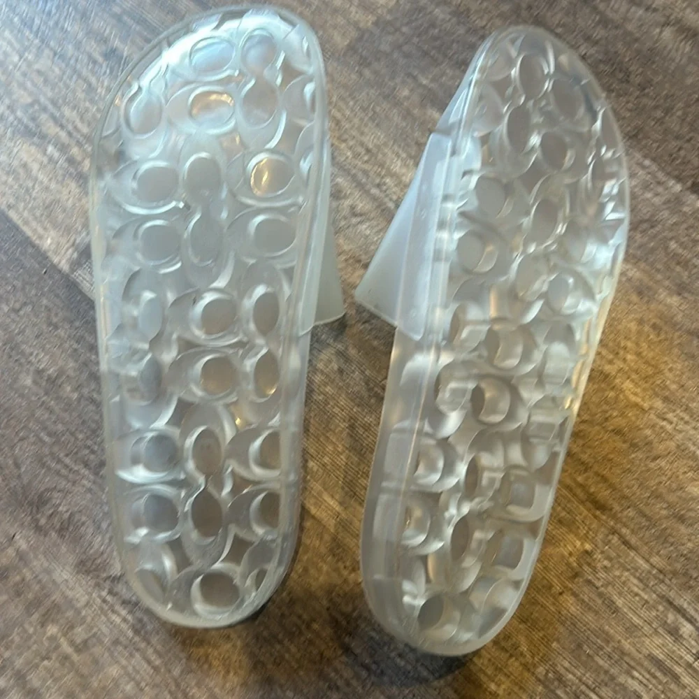 Coach size clear slides